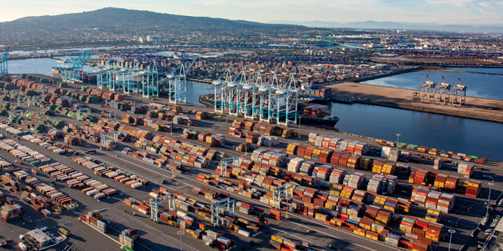 ��˰�ֻţ������ڰ�����ʷ����æµ����