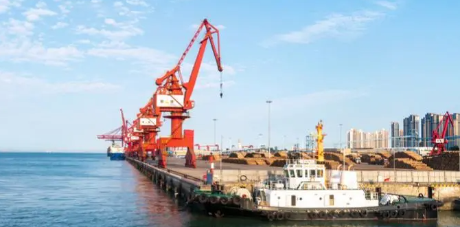 ��ʨ����ᡤ(�й���)�ٷ���վ